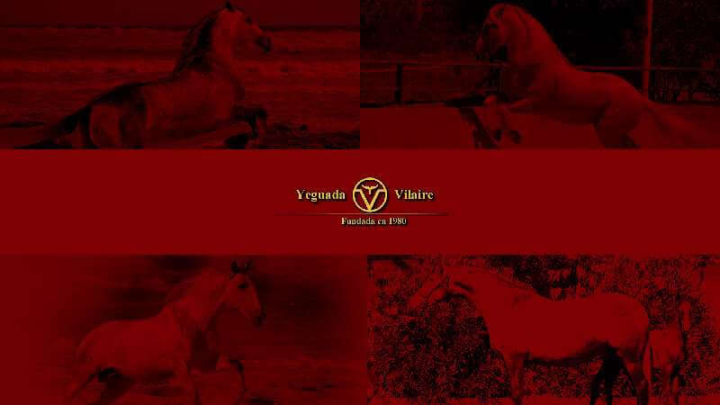 Yeguada Vilaire
